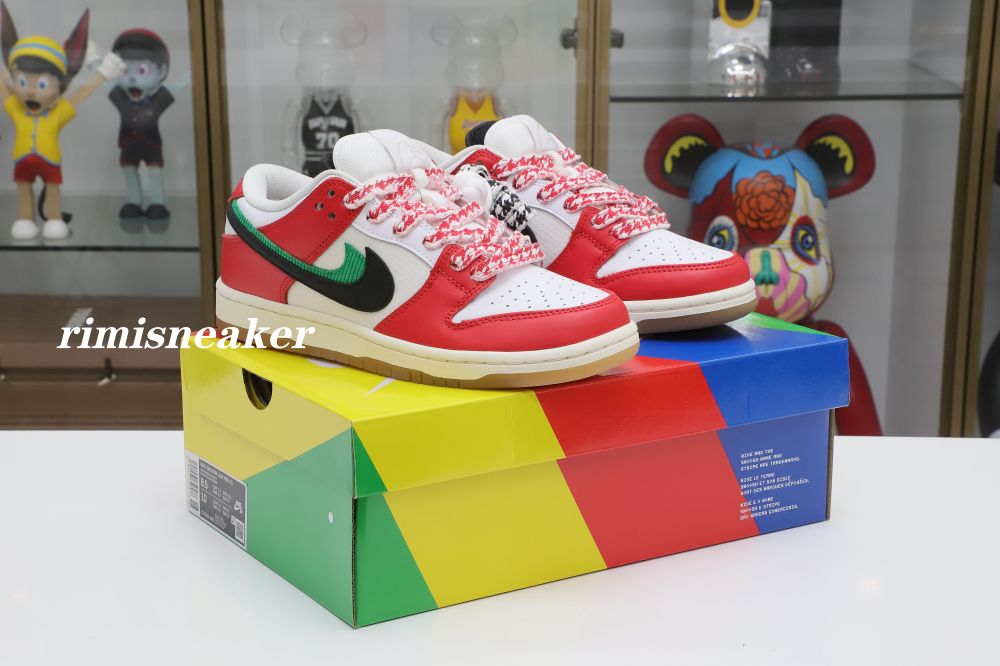 FRAME SKATE X DUNK LOW SB