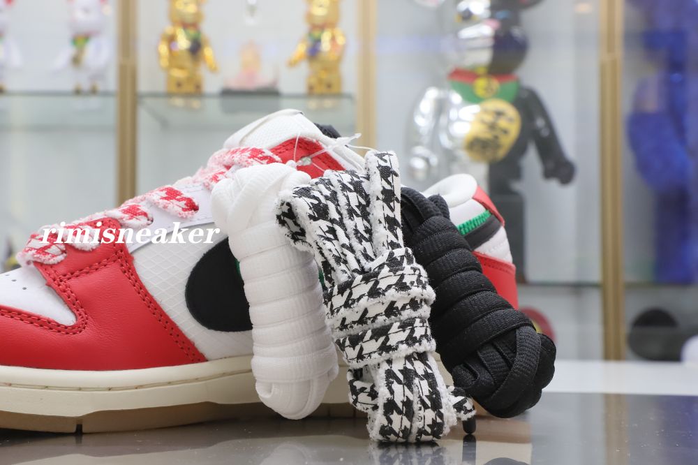 FRAME SKATE X DUNK LOW SB