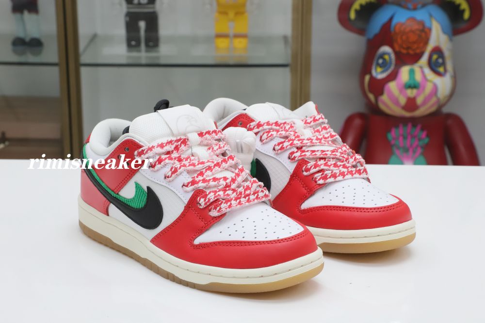 FRAME SKATE X DUNK LOW SB