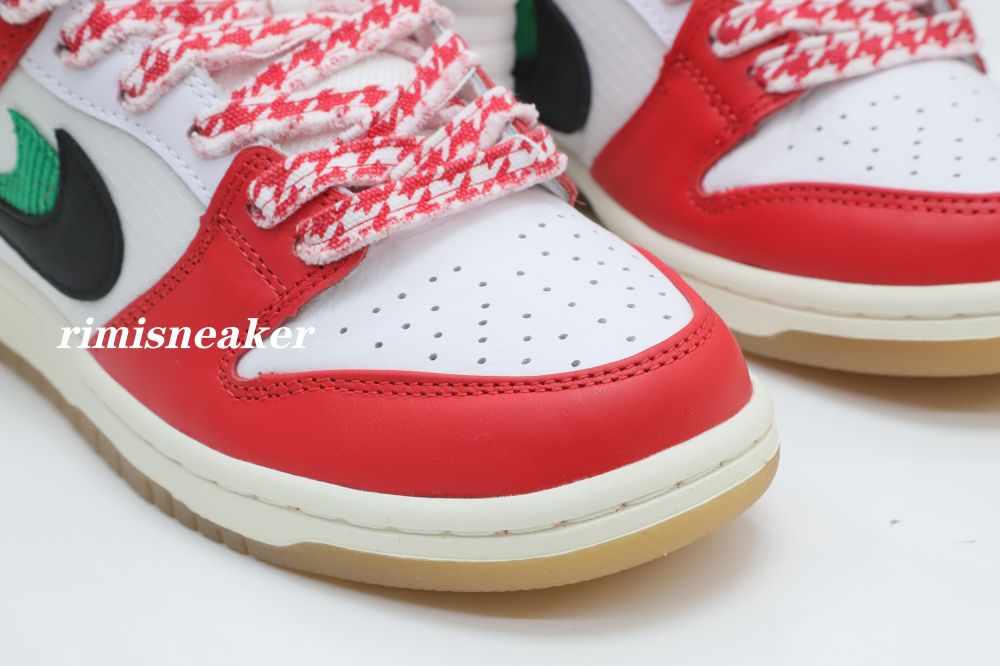 FRAME SKATE X DUNK LOW SB