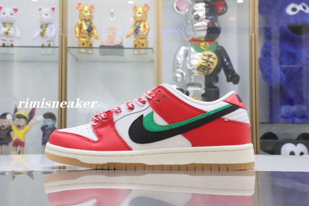 FRAME SKATE X DUNK LOW SB