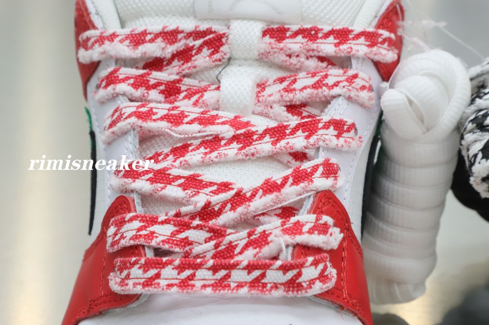 FRAME SKATE X DUNK LOW SB