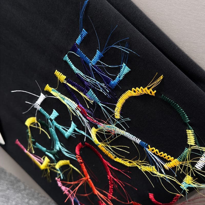 Rainbow Fringe Embroidered T-Shirt