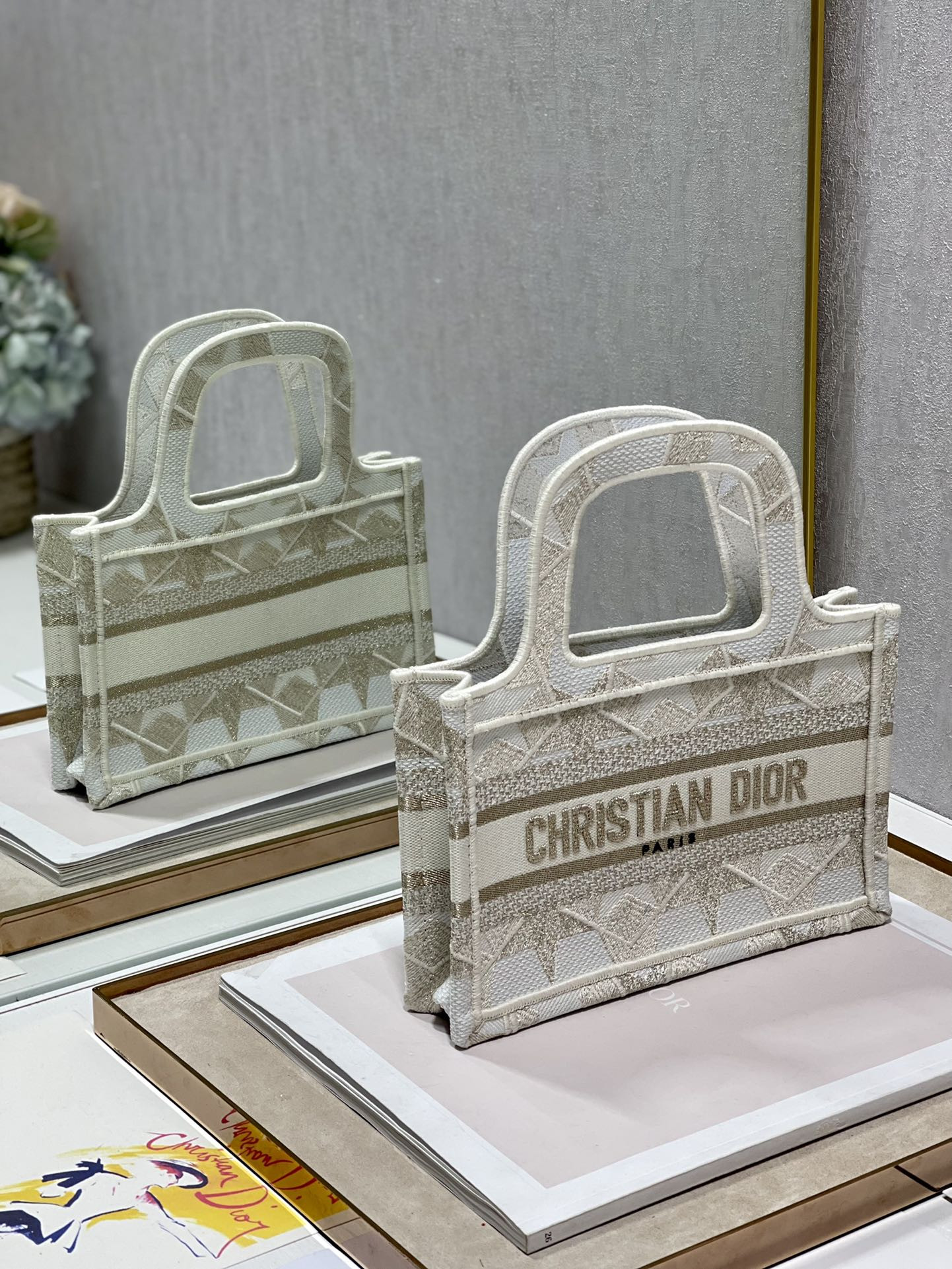 Mini Dior Book Tote