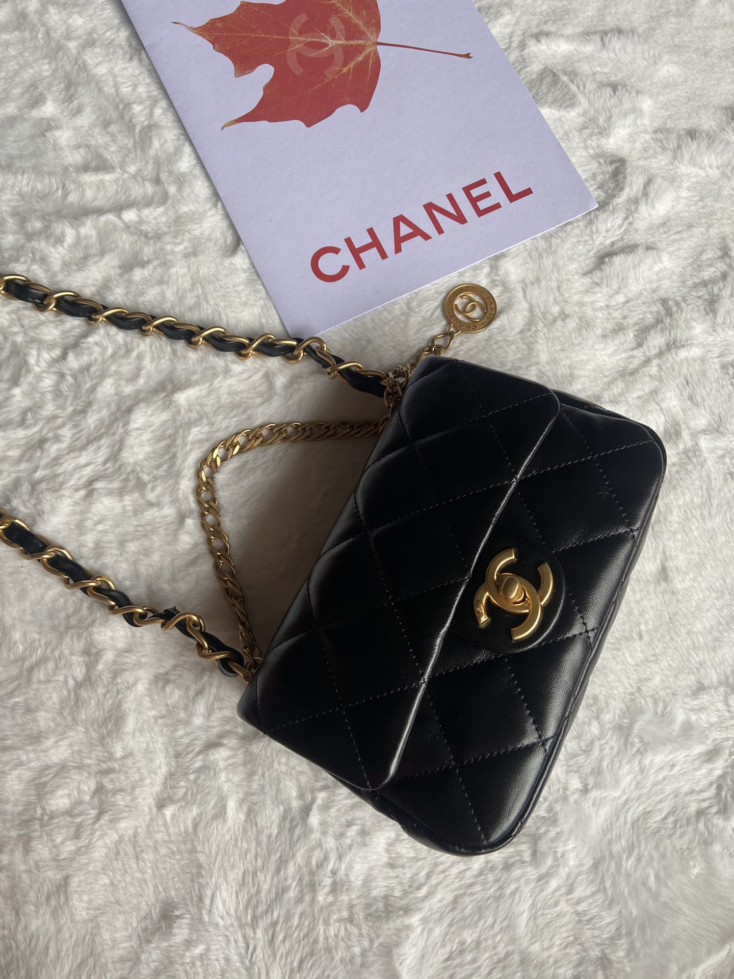 Chanle Small Flap Bag