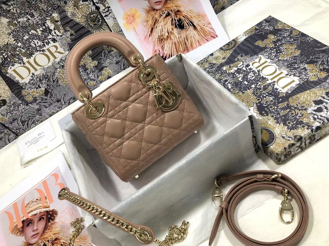 Mini Lady Dior Bag