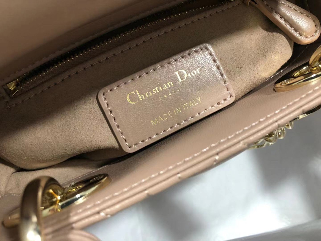 Mini Lady Dior Bag