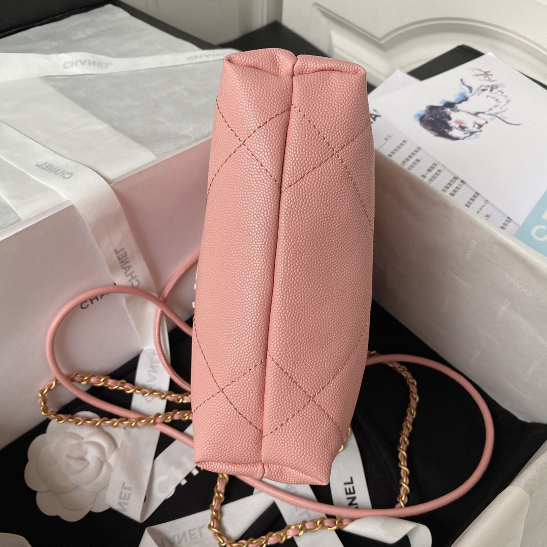 Chanle 22 Backpack Mini