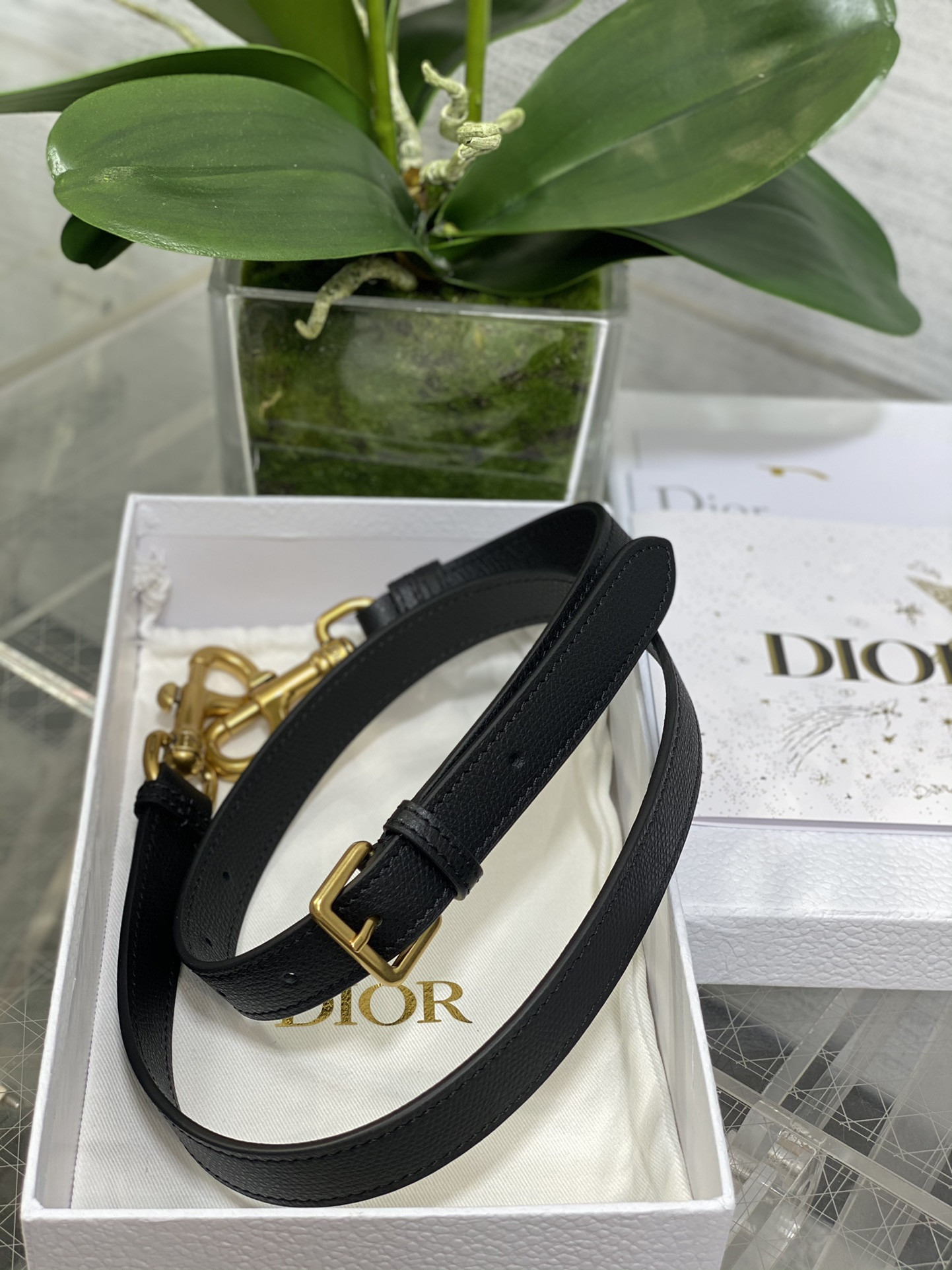 Dior Small Saddle Bag