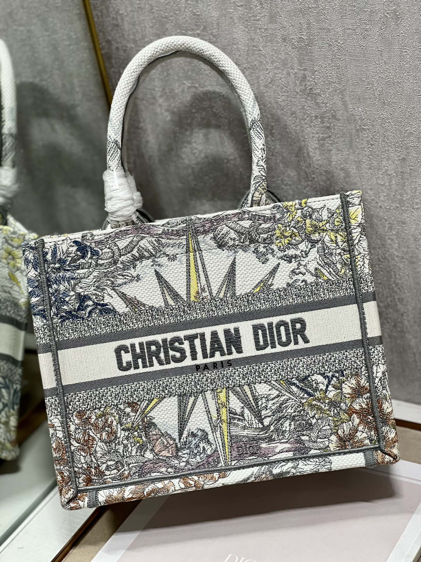 Small Dior Book Tote