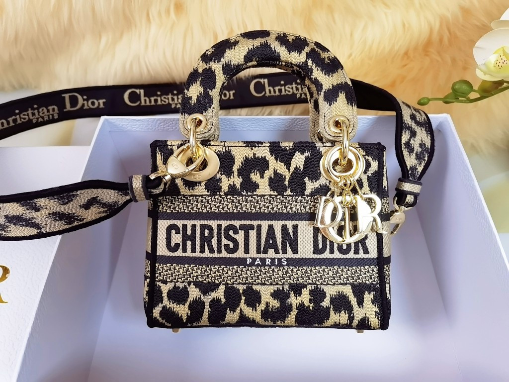 Mini Lady Dior Bag