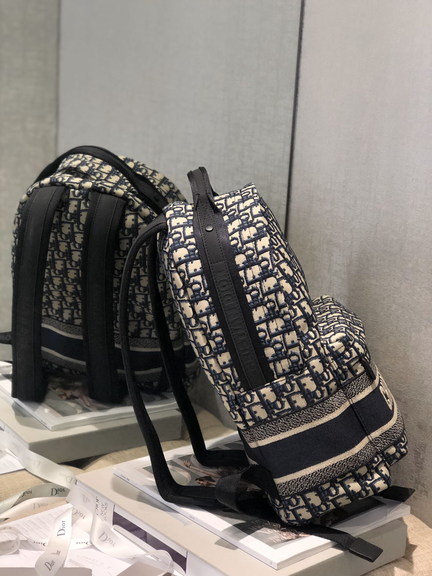 Dior Backpack
