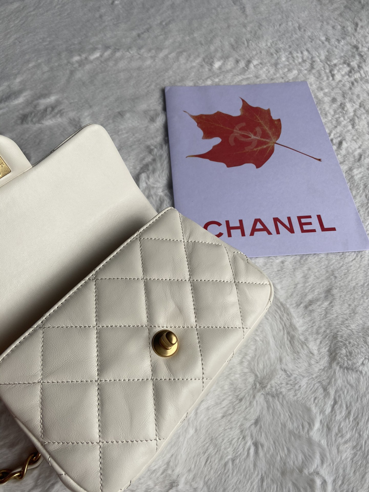 Chanle Small Flap Bag