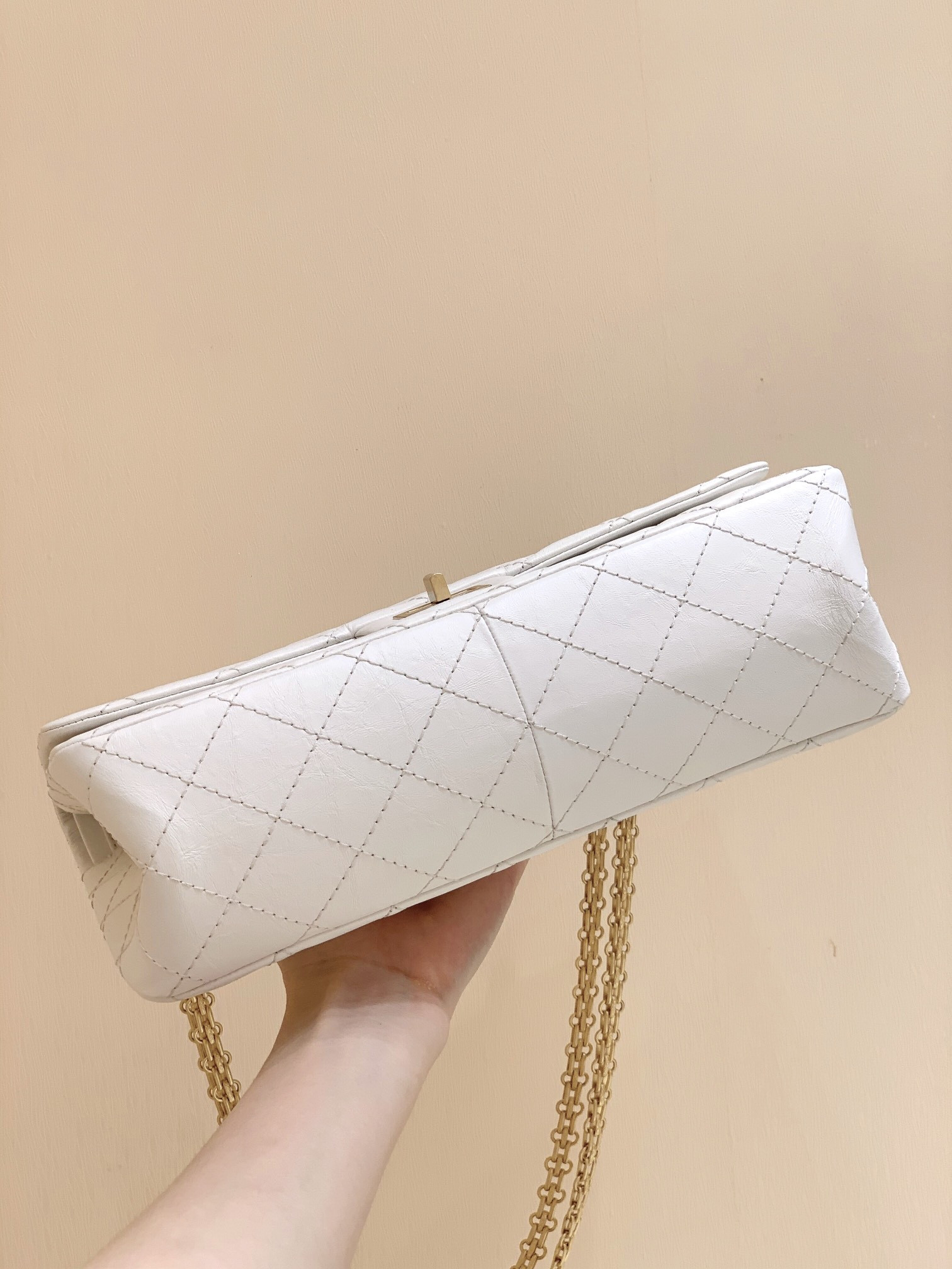 Chanle Reissue 2.55 Handbag