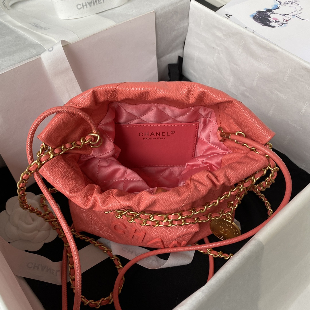 Chanle 22 Backpack Mini