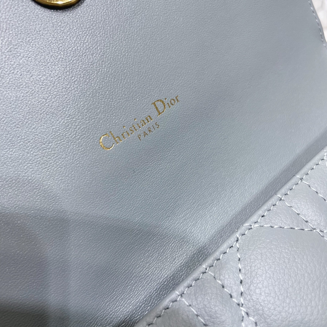Dior Caro Pouch