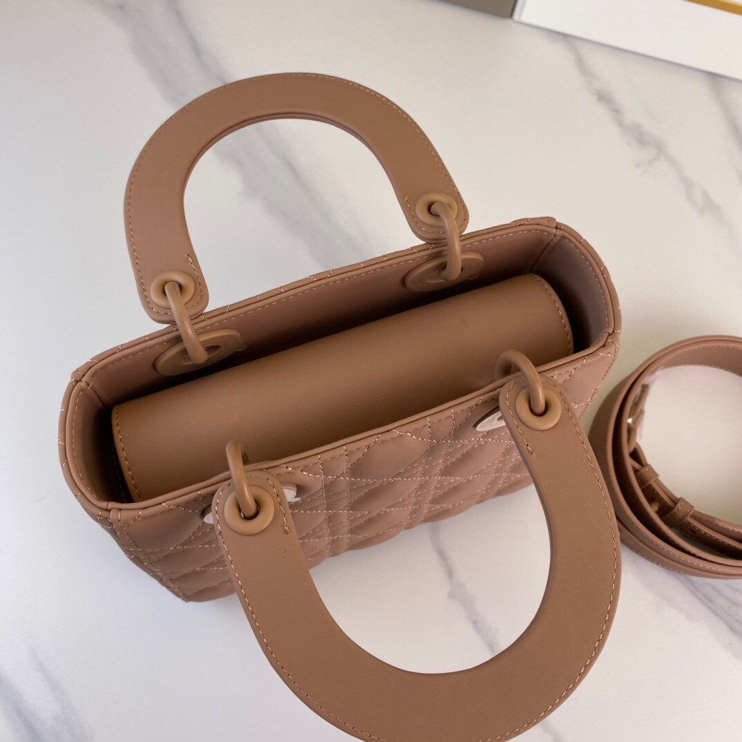 Medium Lady Dior Bag