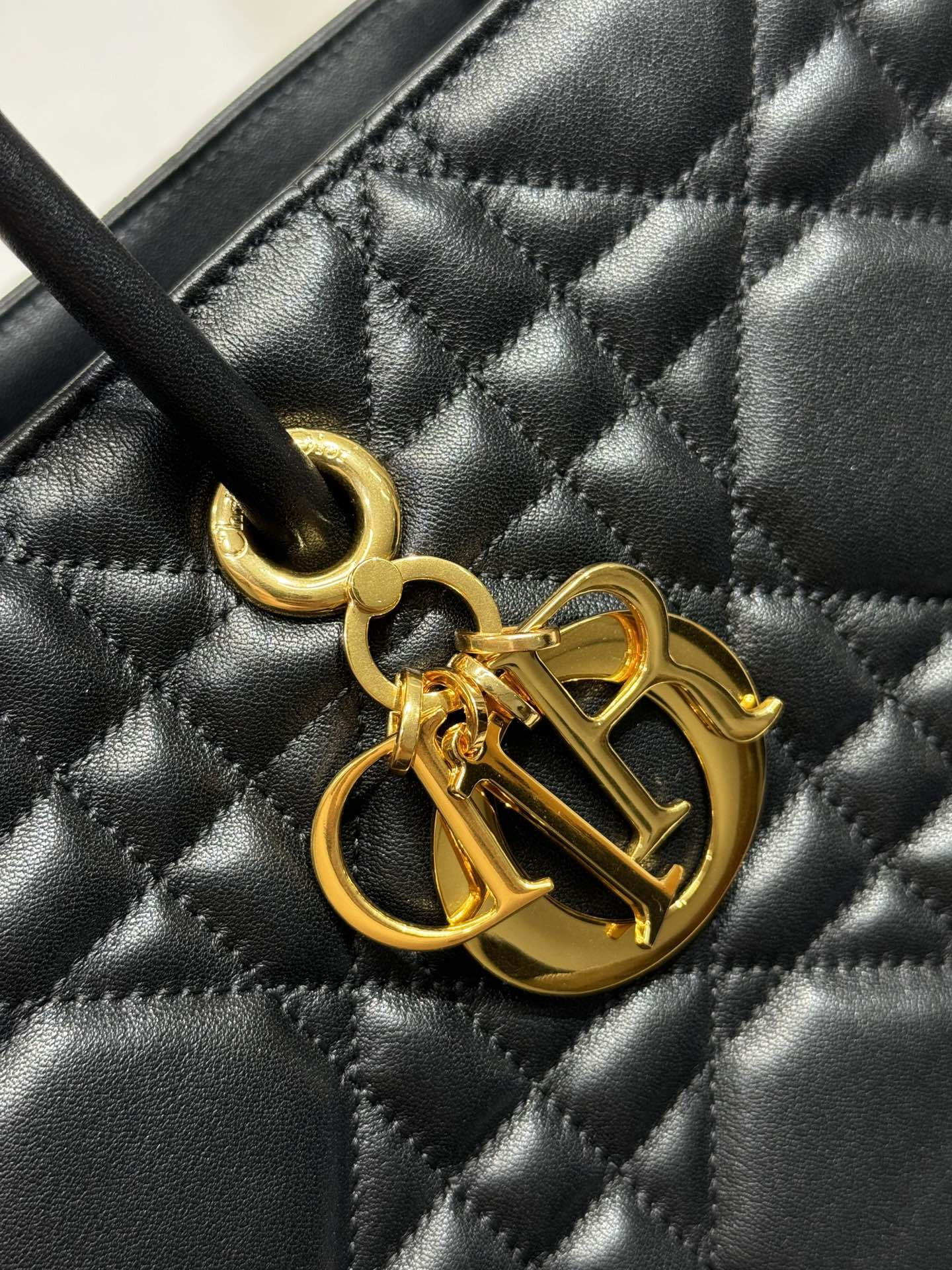 Dior Toujours Bag