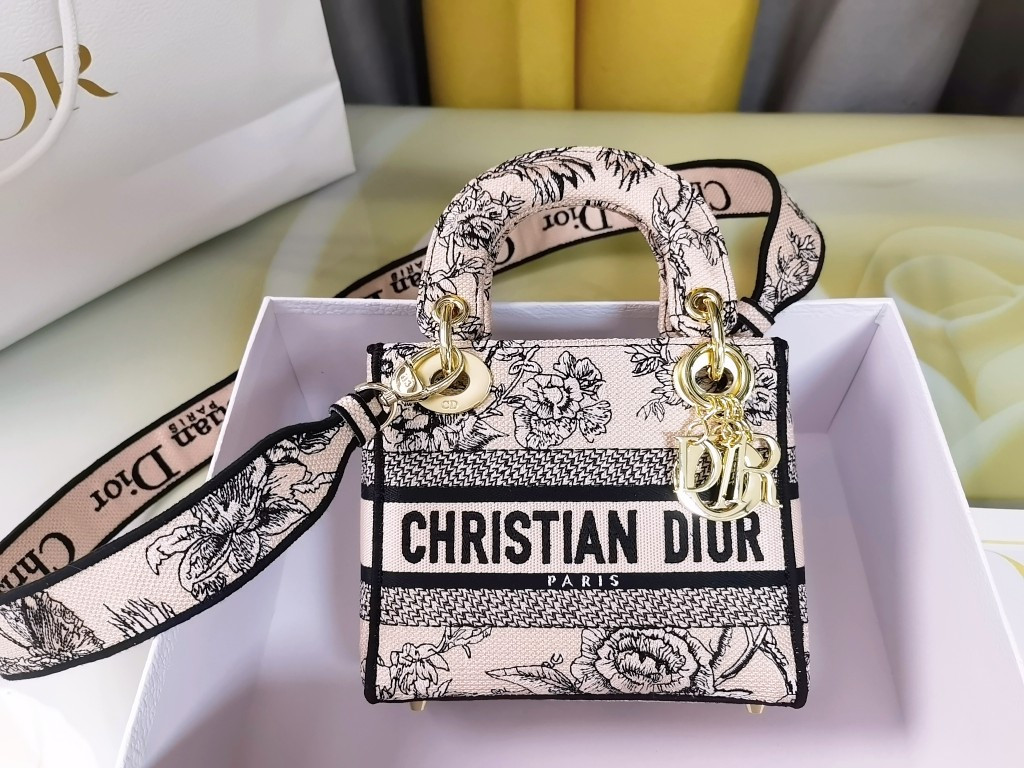 Mini Lady Dior Bag
