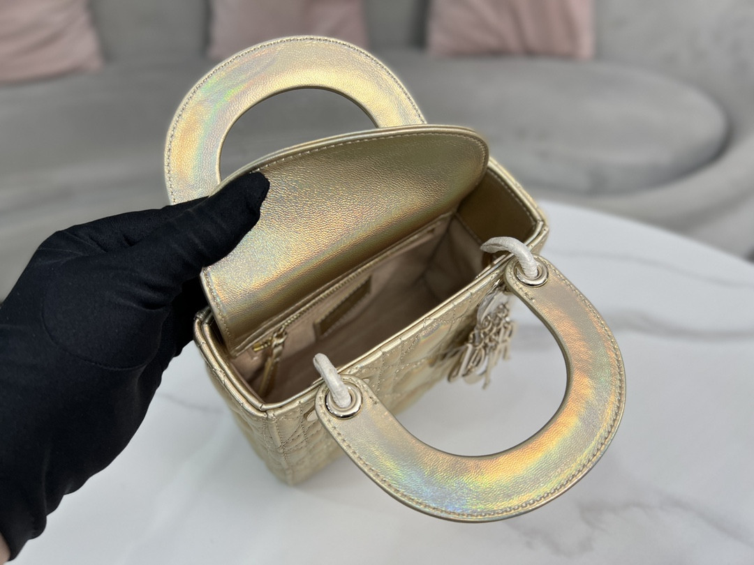 Mini Lady Dior Bag