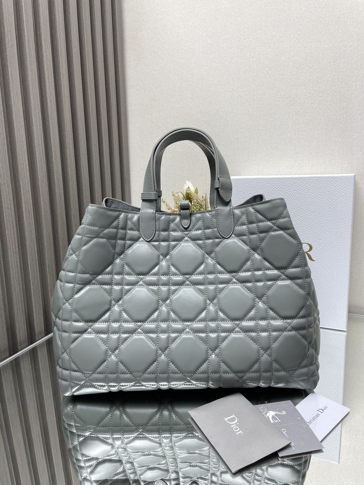Dior Toujours Bag