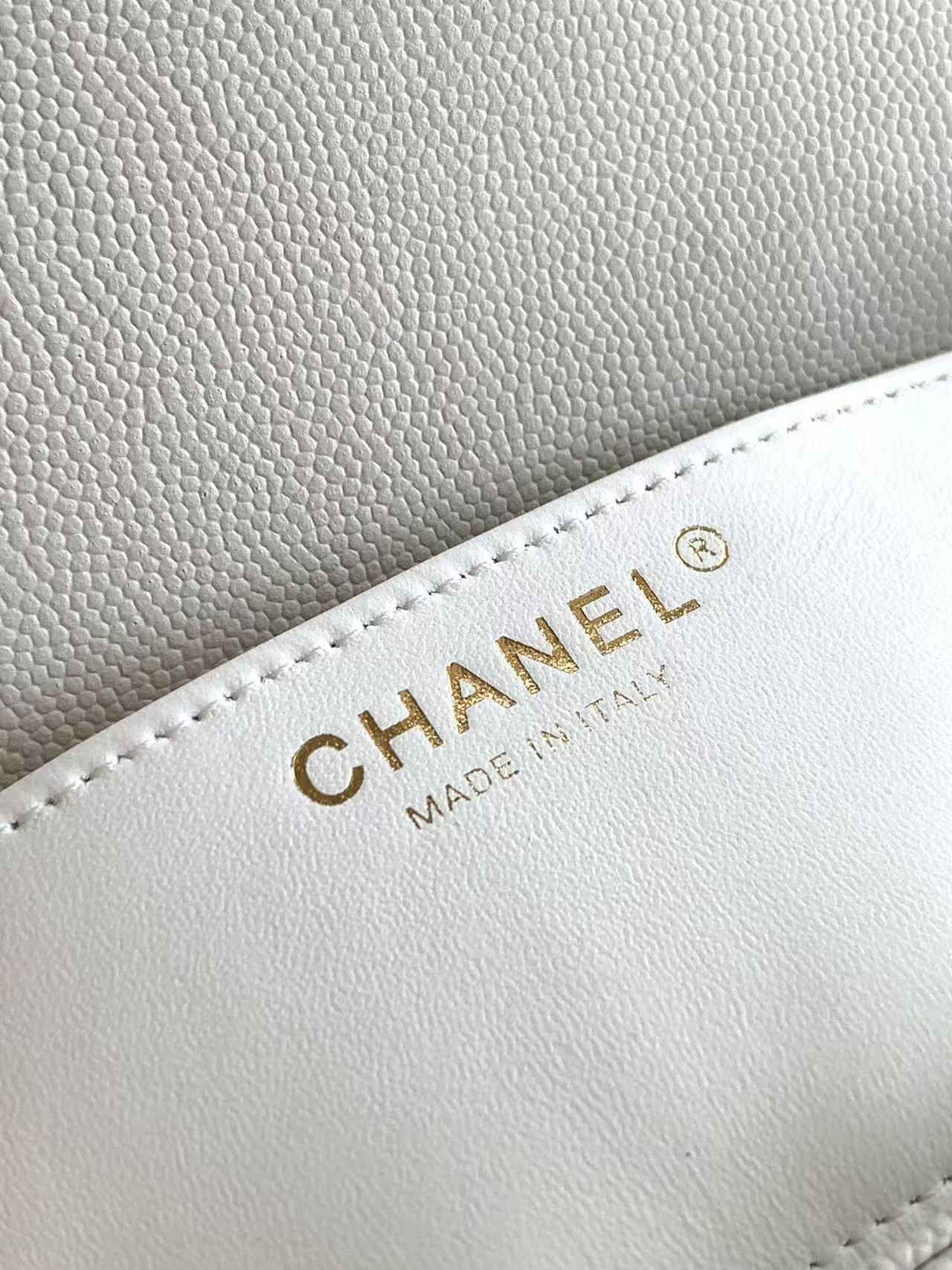 Chanel 25p Classic Double Flap Bag