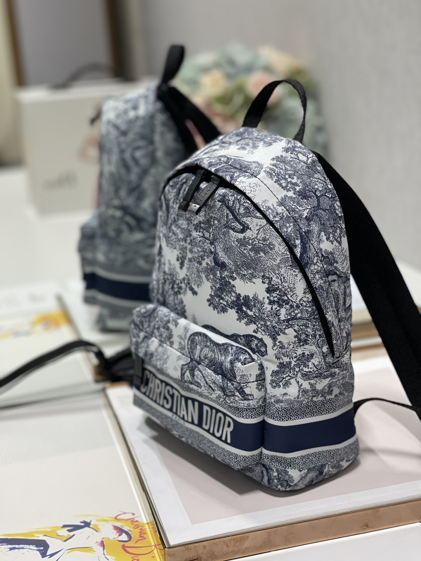 Dior Backpack