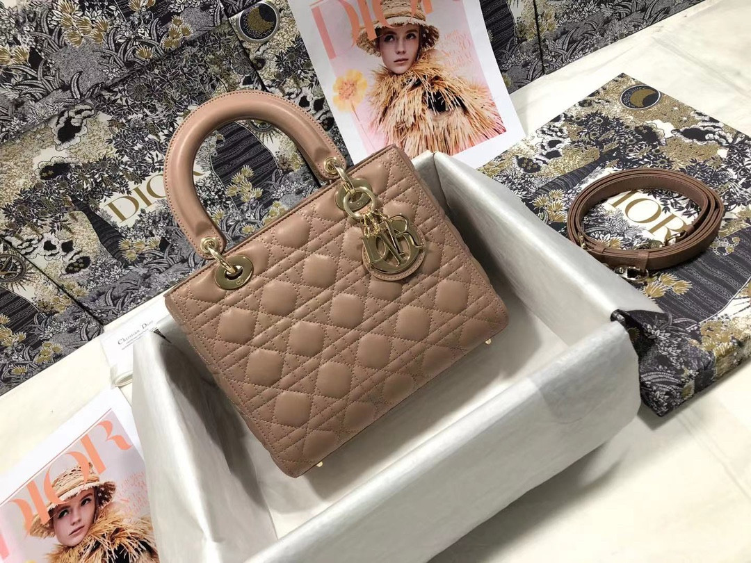 Medium Lady Dior Bag