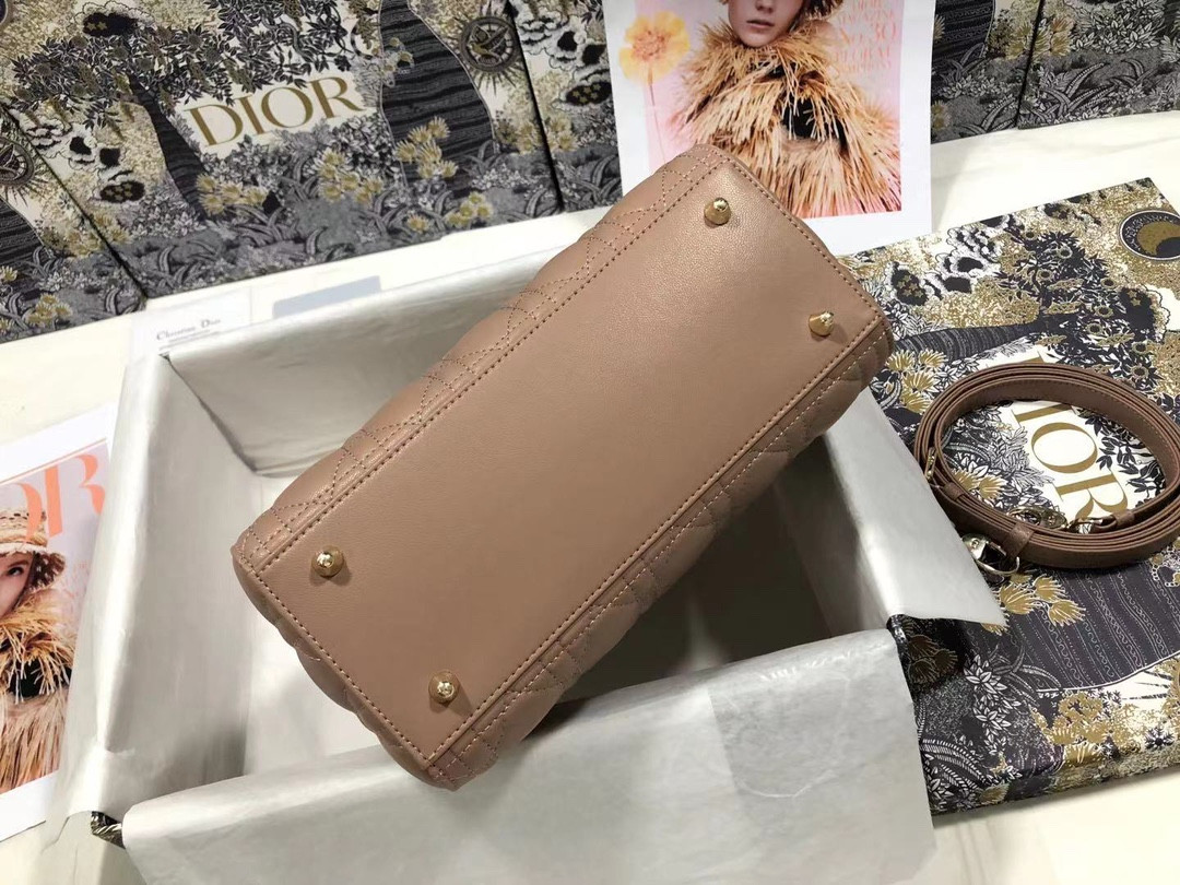 Medium Lady Dior Bag