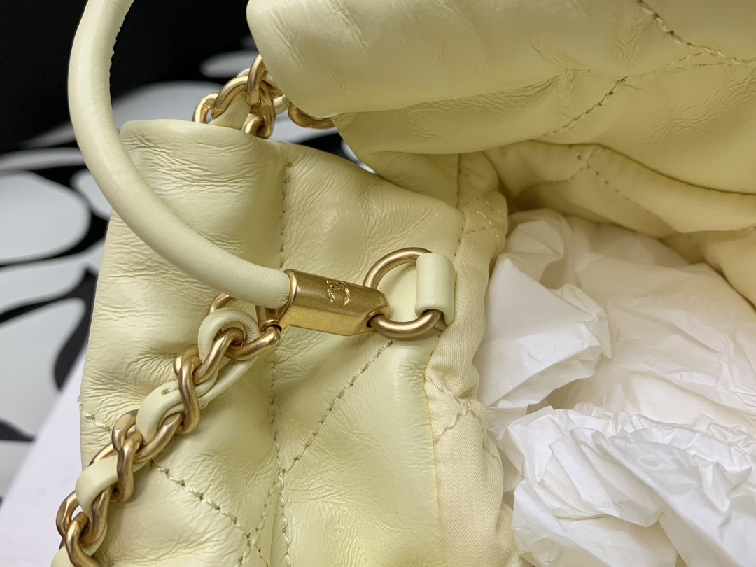 Chanle 22 Backpack Mini