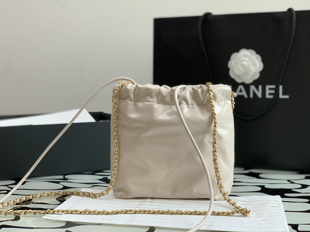 Chanle 22 Backpack Mini