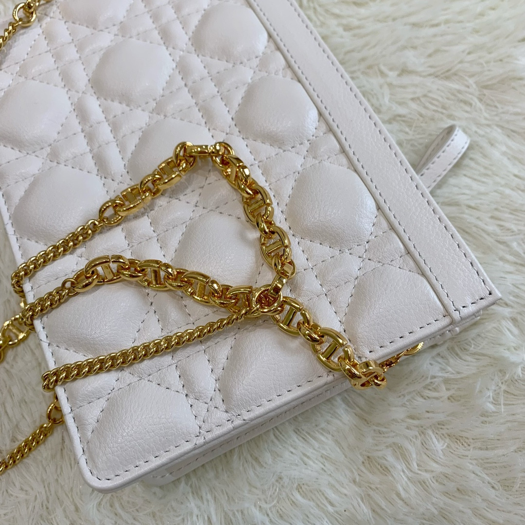 Dior Caro Zipped Pouch With Chain