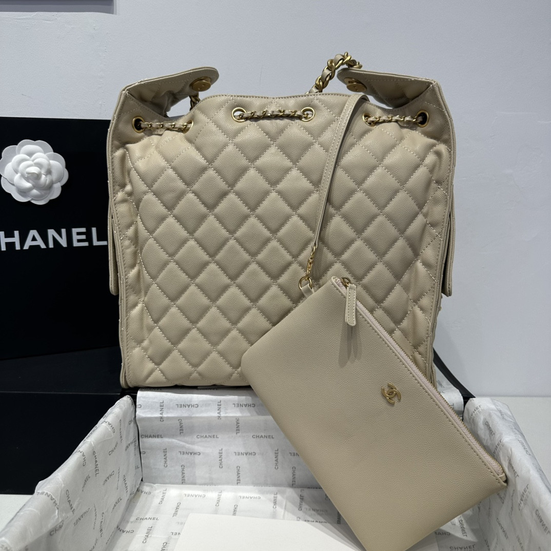 Chanel 25p Hobo Bag