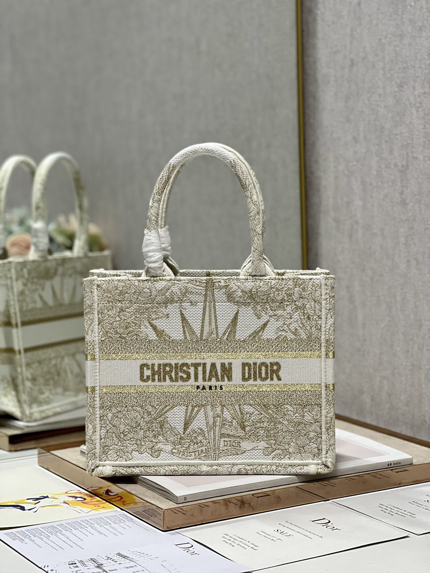 Small Dior Book Tote