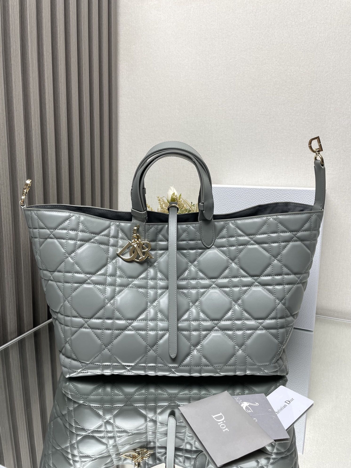 Dior Toujours Bag