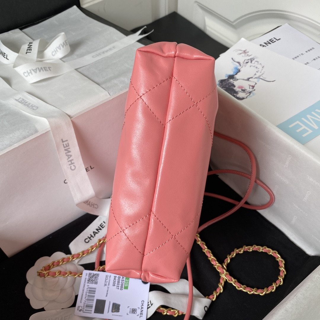 Chanle 22 Backpack Mini