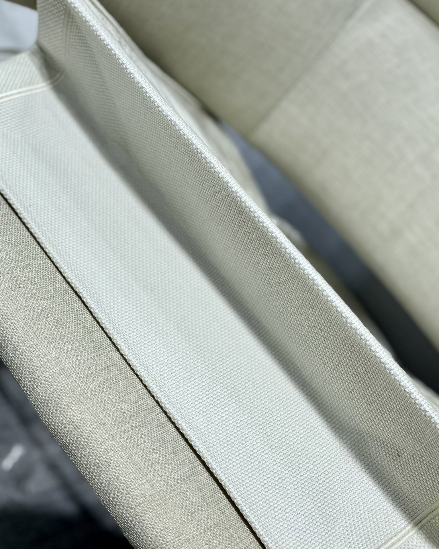 Large Dior Book Tote