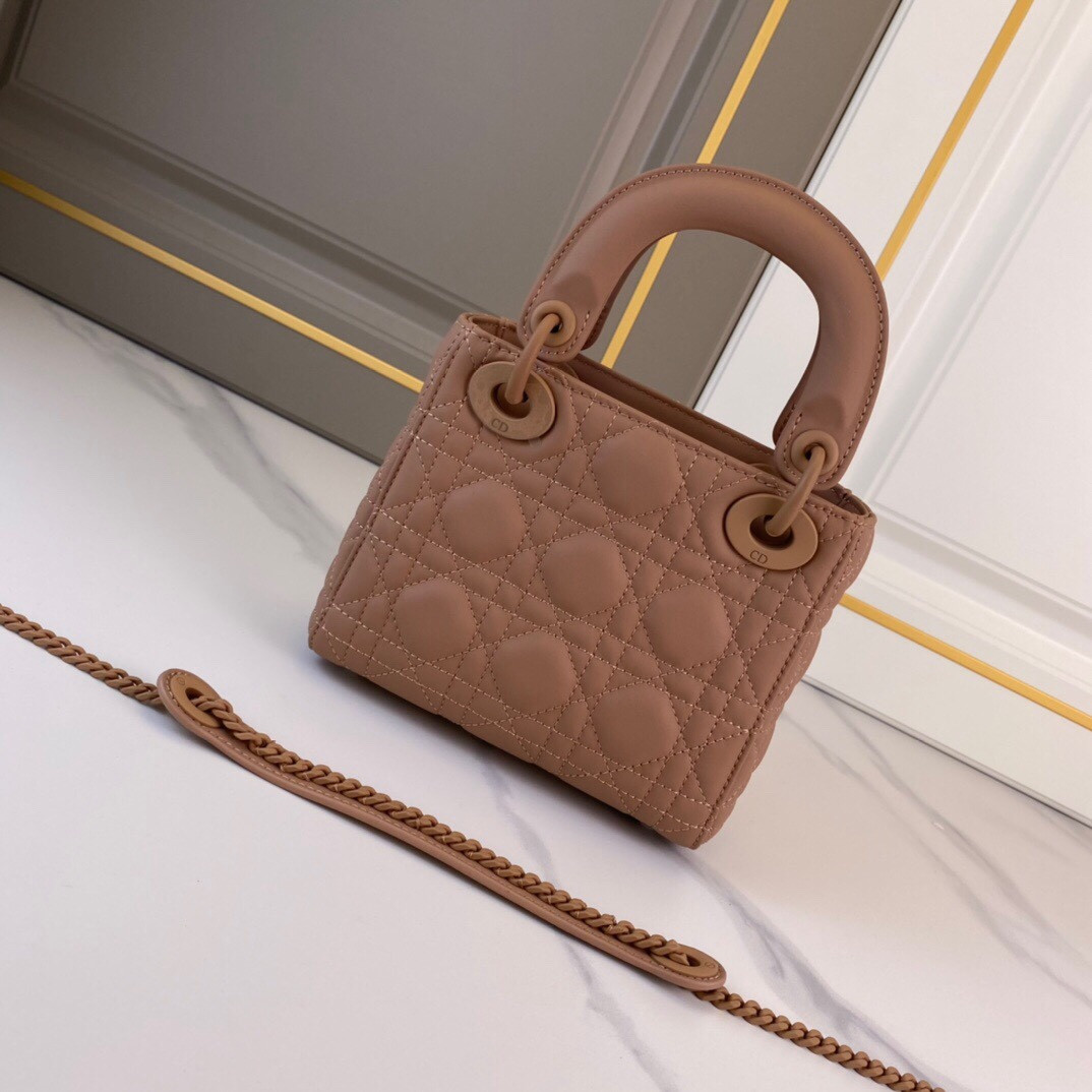 Mini Lady Dior Bag