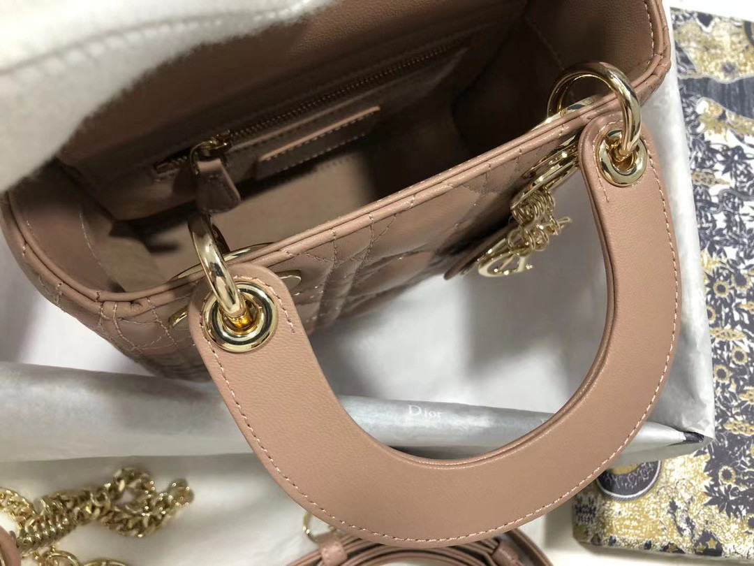 Mini Lady Dior Bag