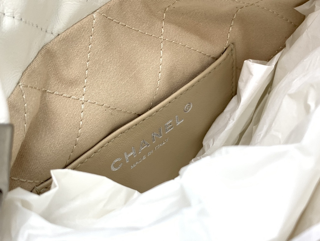 Chanle 22 Backpack Mini