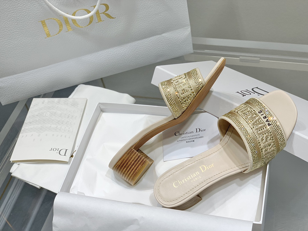Dior Slippers