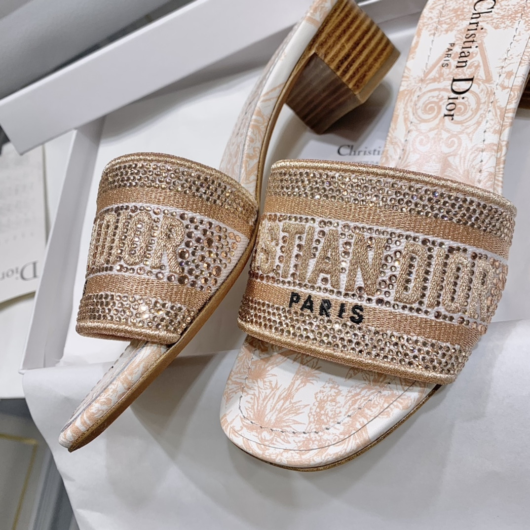 Dior Slippers