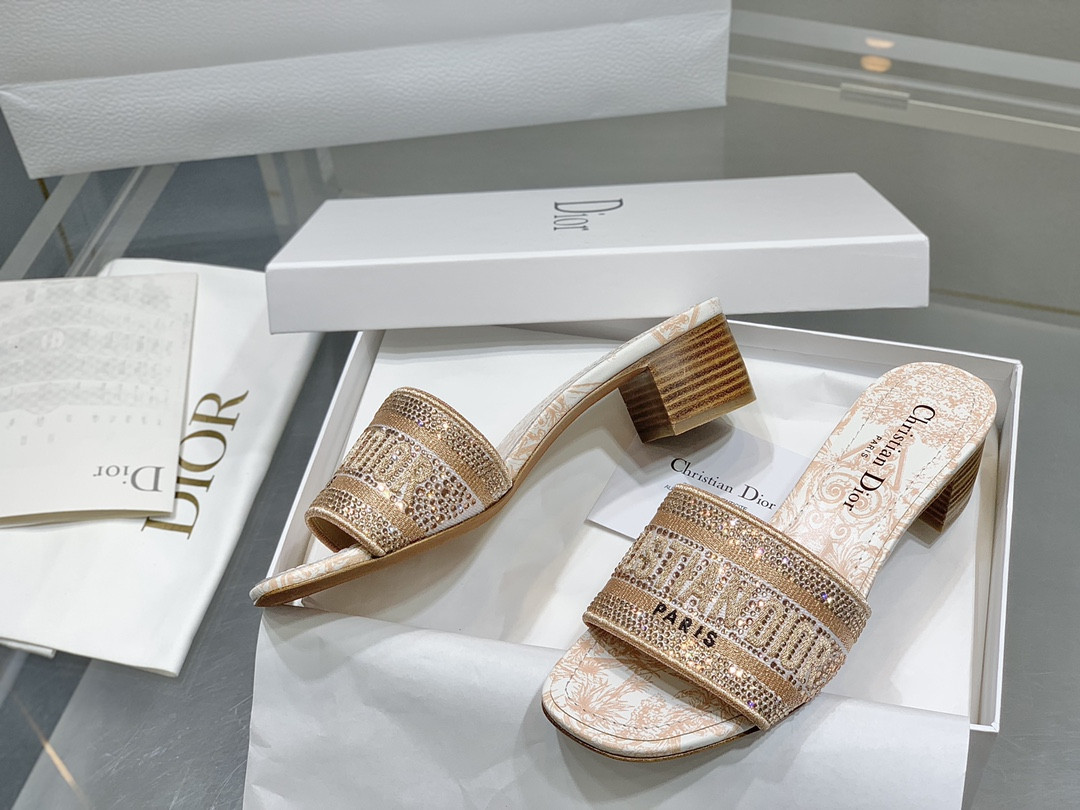 Dior Slippers