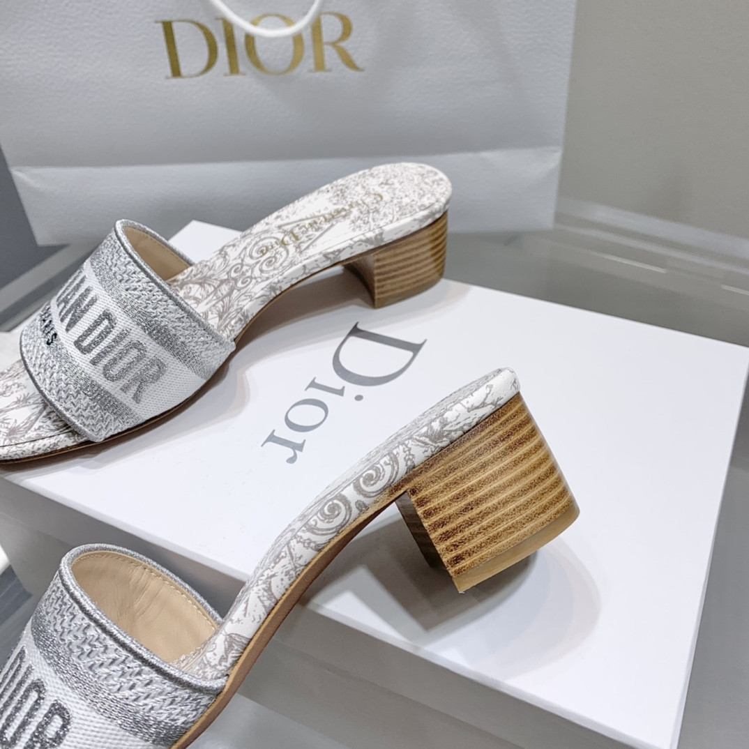 Dior Slippers