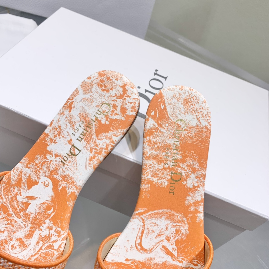 Dior Slippers