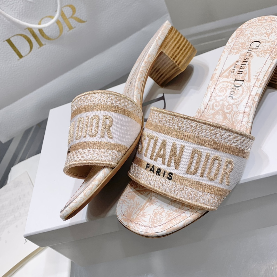 Dior Slippers